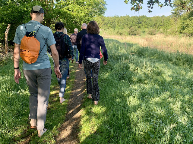 Barefootwandelgroep tijdens een ochtendwandeling in een stadspark in Almere