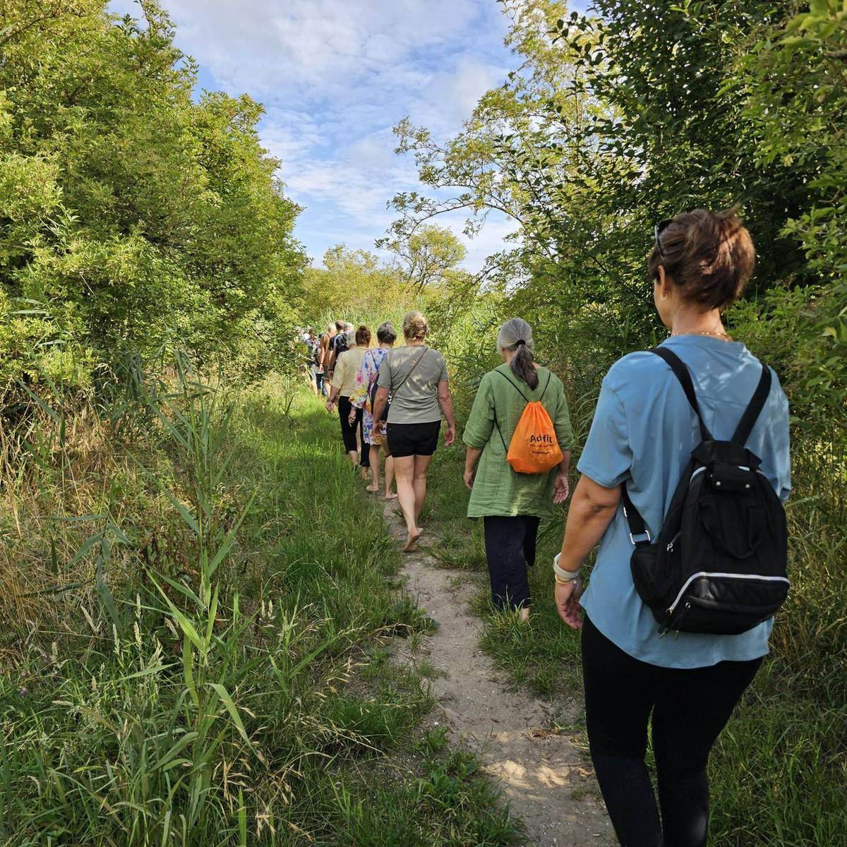 Groep wandelt op blote voeten tijdens een zomerse Barefootwandelclub-wandeling