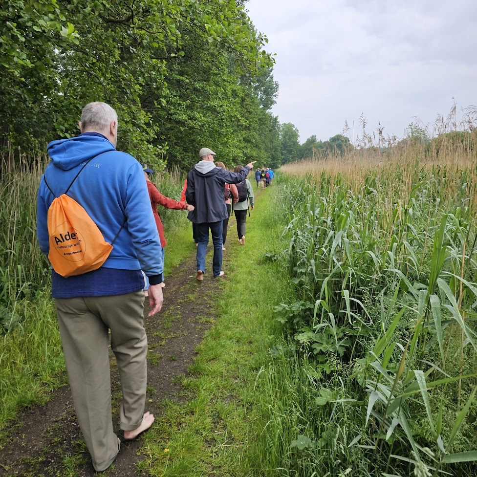 Barefootwandelgroep tijdens een groepswandeling in Almere