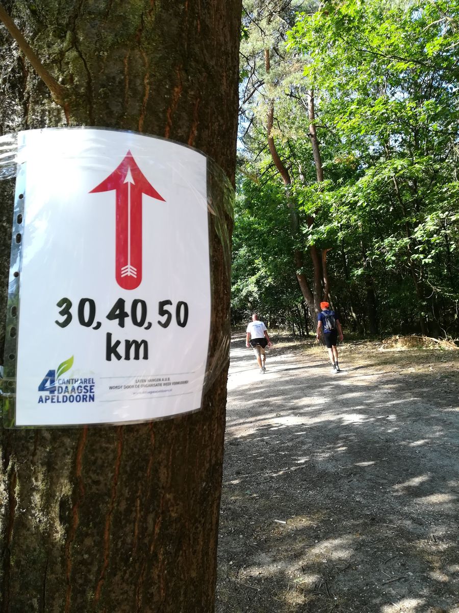 Trainingsschema en afstanden voor de voorbereiding op een meerdaagse wandeltocht